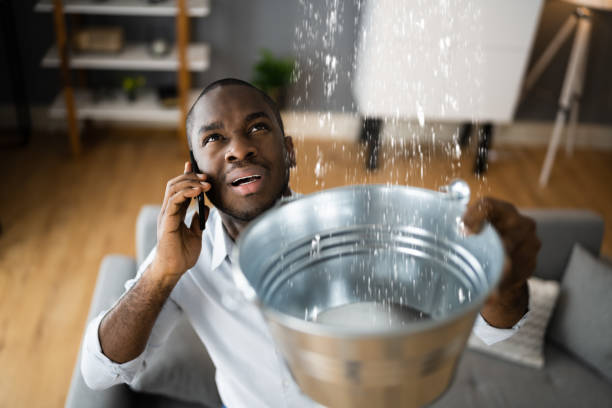 Best Mold removal after water damage  in Gold Hill, OR