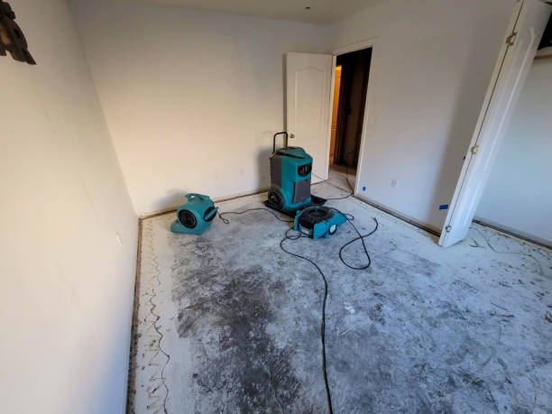 Water damage restoration insurance claims in Gold Hill, OR