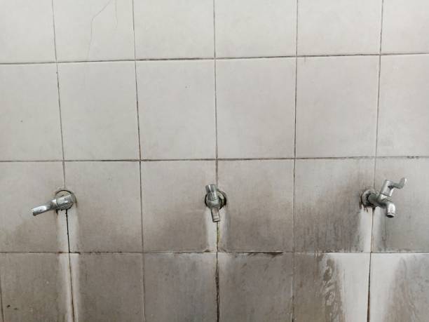 Water damage restoration mold remediation in Gold Hill, OR